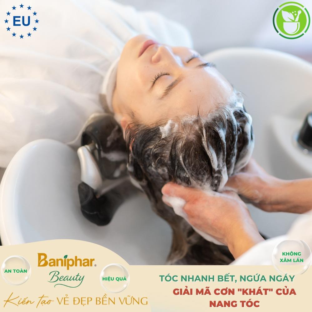 Tóc Nhanh Bết, Ngứa Ngáy Ngày Hè: Giải Mã Cơn "Khát" Của Nang Tóc